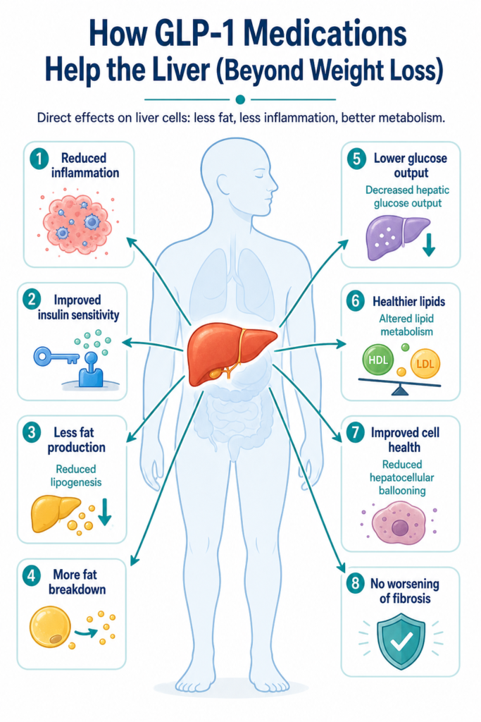 Medical illustration of a liver with arrows indicating GLP‑1 medication effects like reduced inflammation, improved insulin sensitivity, and decreased fat production.

